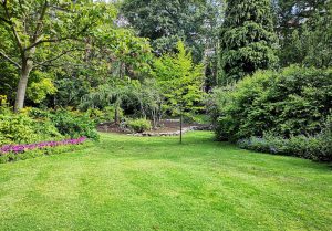 Optimiser l'expérience du jardin à Rudeau-Ladosse